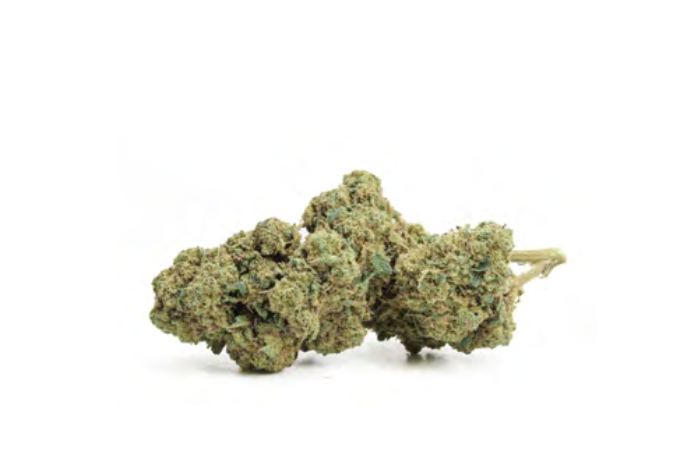 BLUEBERRY MUFFIN